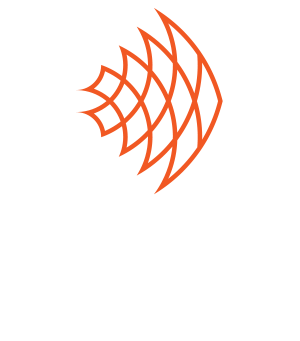 Goldfish Studio