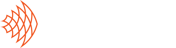 Goldfish Studio